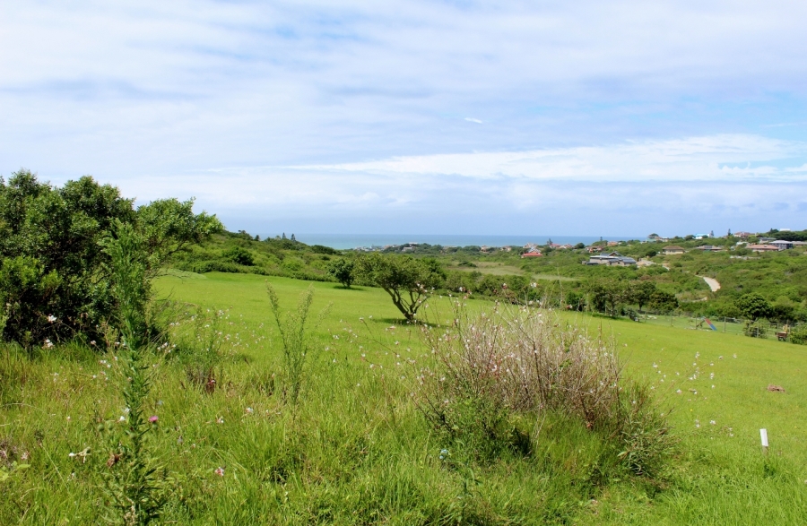 0 Bedroom Property for Sale in Forest Downs Eastern Cape